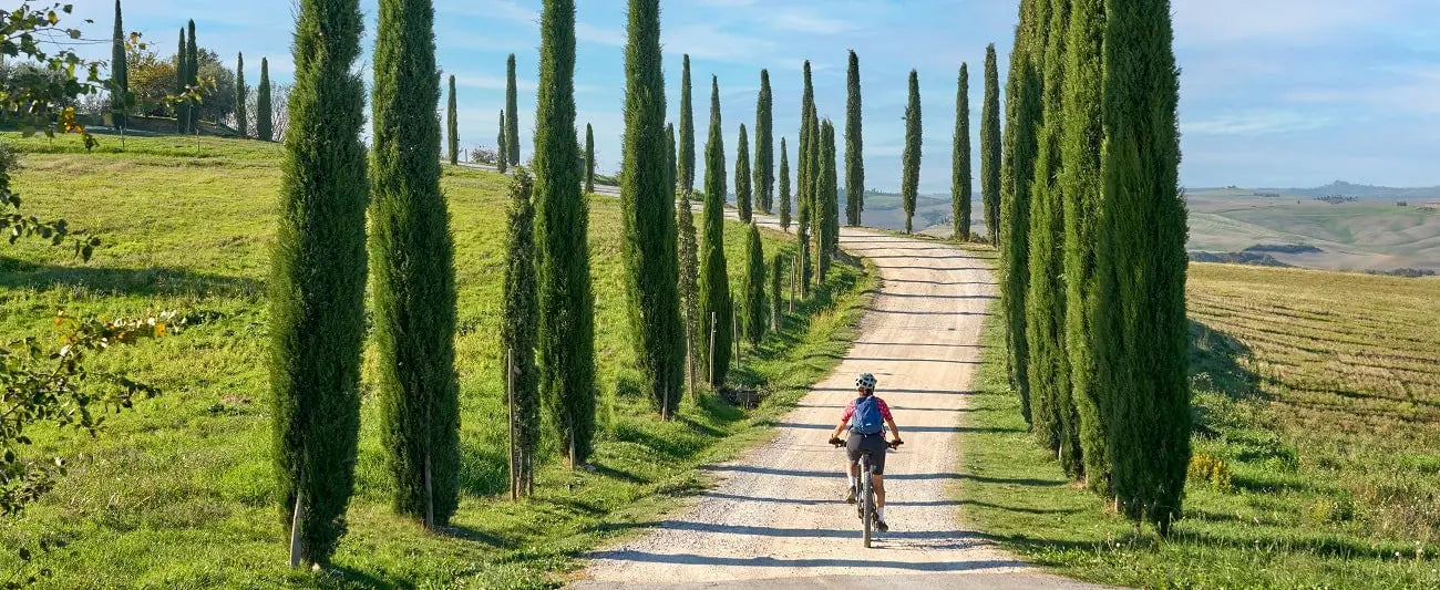 How to Choose an Ebike: a Full Buying Guide